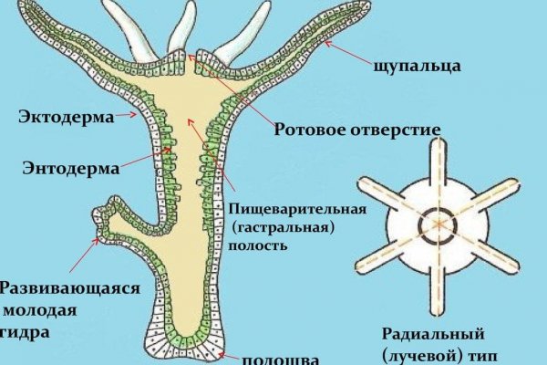 Что такое кракен маркетплейс в россии